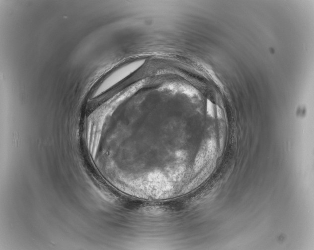 X0000093730299200711131044