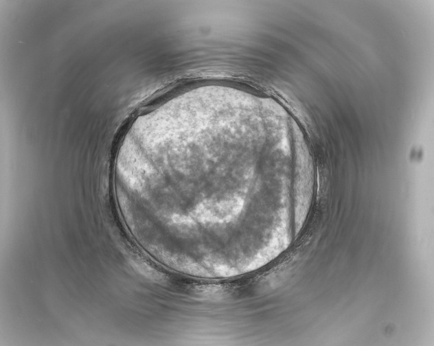 X0000093730301200711131044
