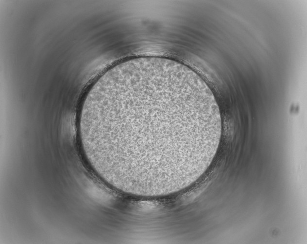 X0000093730302200711131044
