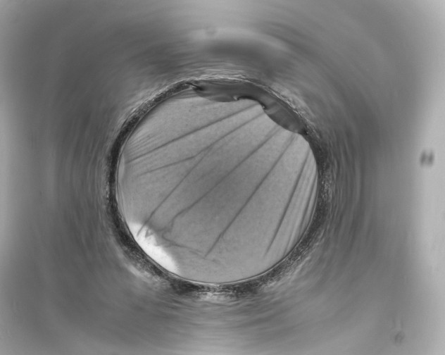X0000093730303200711131044