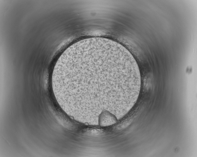 X0000093730304200711131044