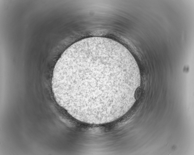 X0000093730307200711131044