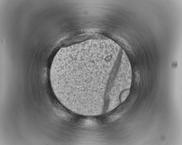 X0000093730308200711131044