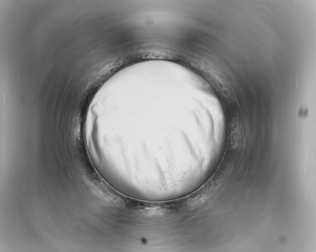 X0000093730310200711131044