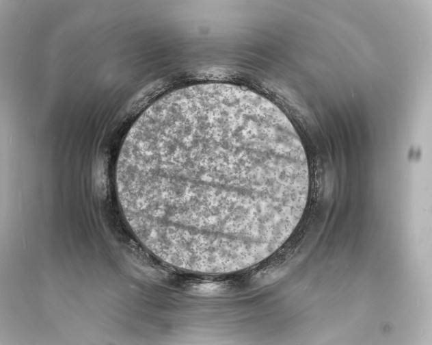 X0000093730312200711131044
