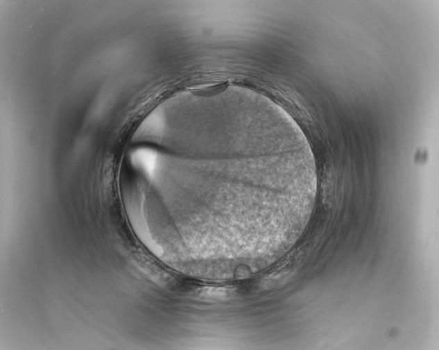 X0000093730314200711131044