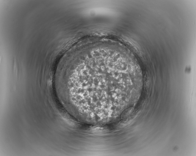 X0000093730315200711131044