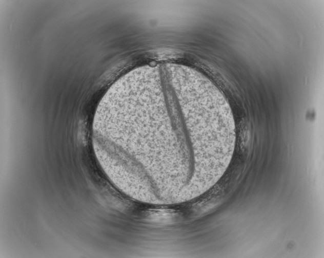 X0000093730316200711131044