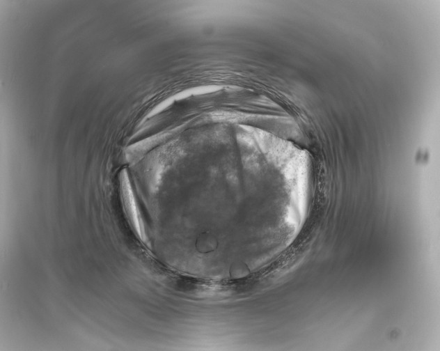 X0000093730319200711131044