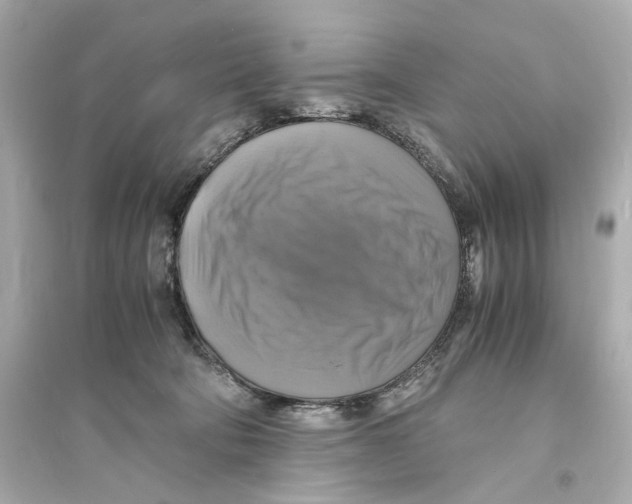 X0000093730322200711131044