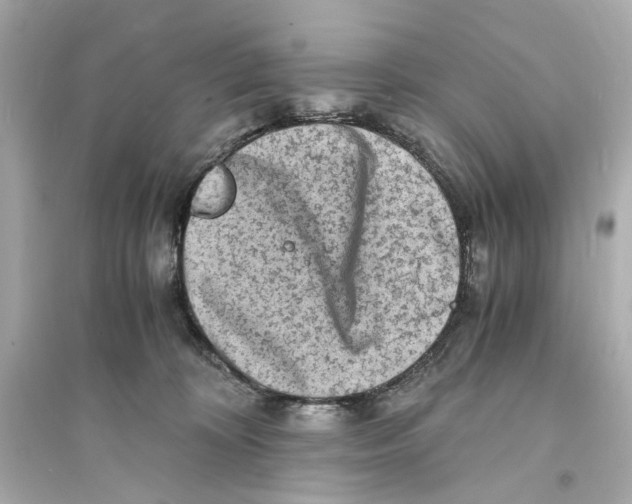 X0000093730324200711131044