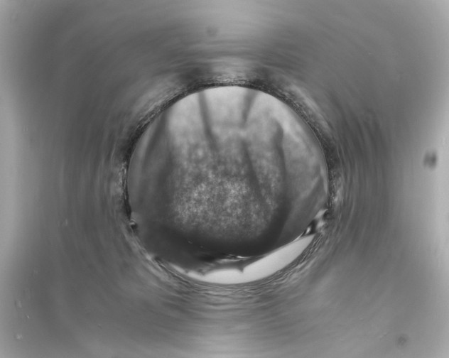 X0000093730325200711131044