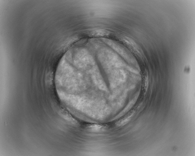 X0000093730326200711131044