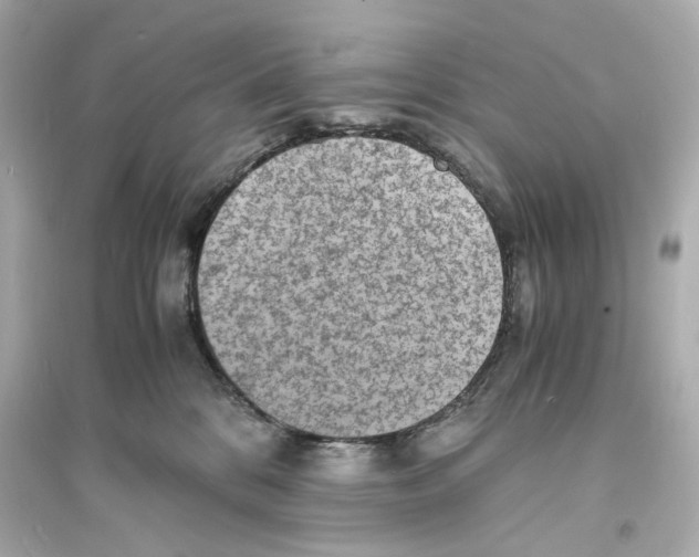 X0000093730328200711131044