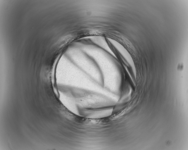 X0000093730329200711131044