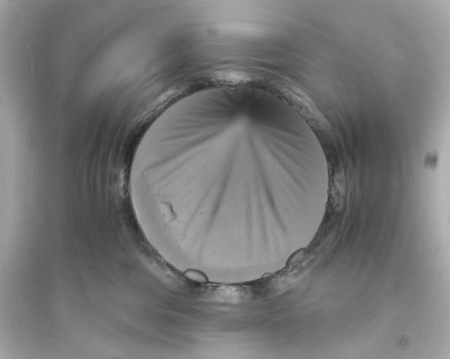 X0000093730330200711131044