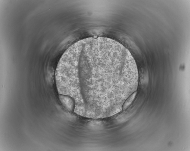 X0000093730332200711131044
