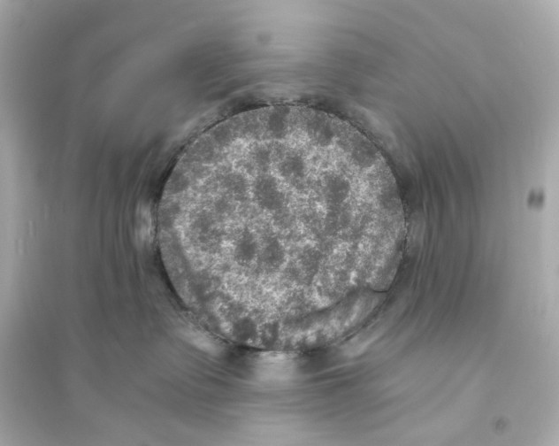 X0000093730335200711131044