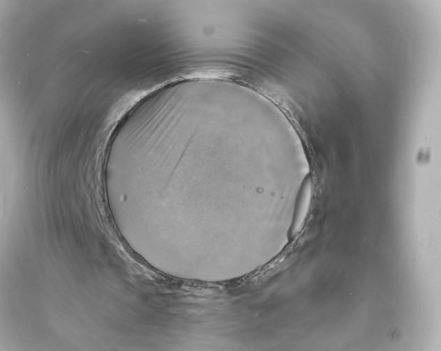 X0000093730337200711131043