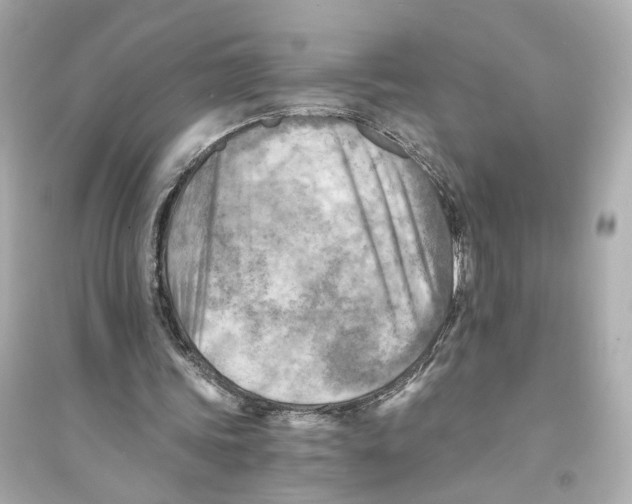 X0000093730339200711131043