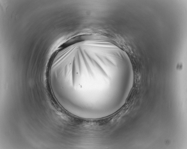X0000093730340200711131043