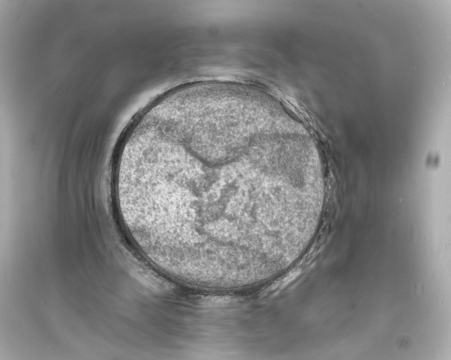 X0000093730342200711131043