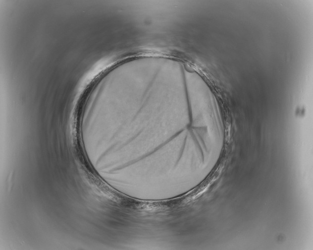 X0000093730343200711131043