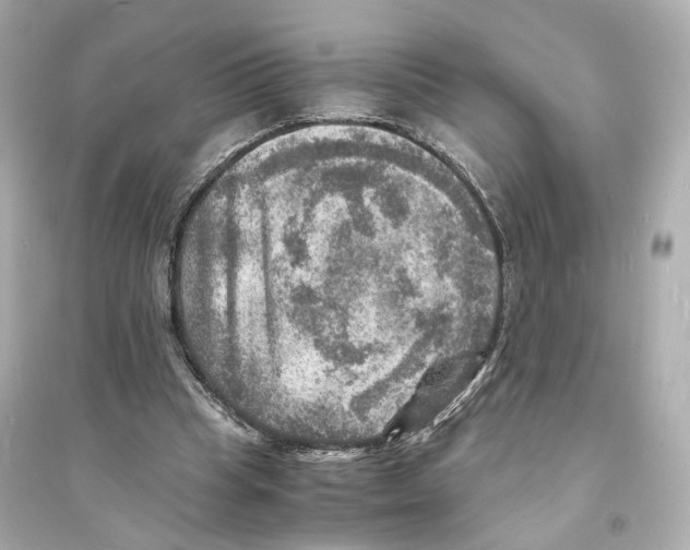 X0000093730345200711131043