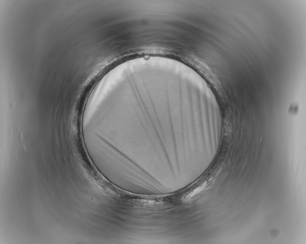 X0000093730347200711131043