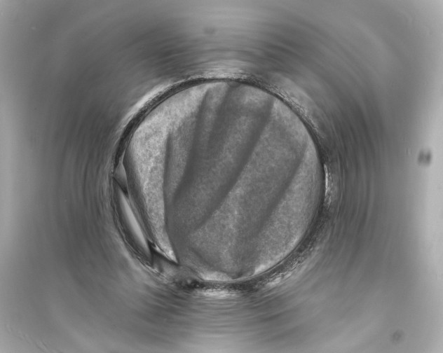 X0000093730348200711131043