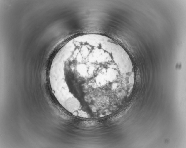 X0000093730351200711131043