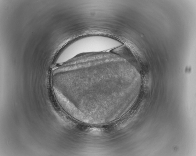 X0000093730352200711131043