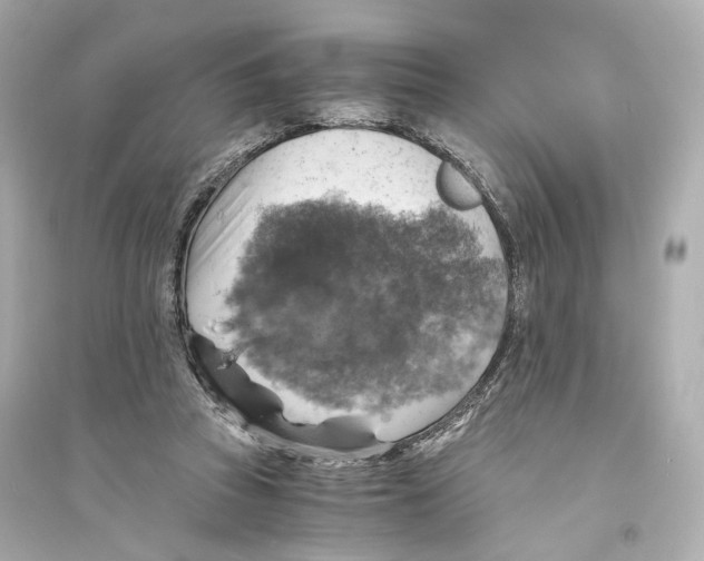 X0000093730353200711131043