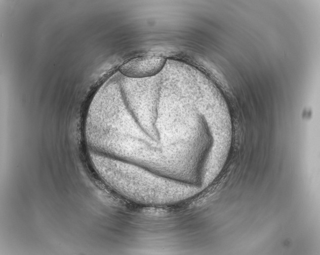 X0000093730354200711131043