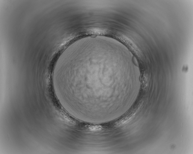 X0000093730355200711131043
