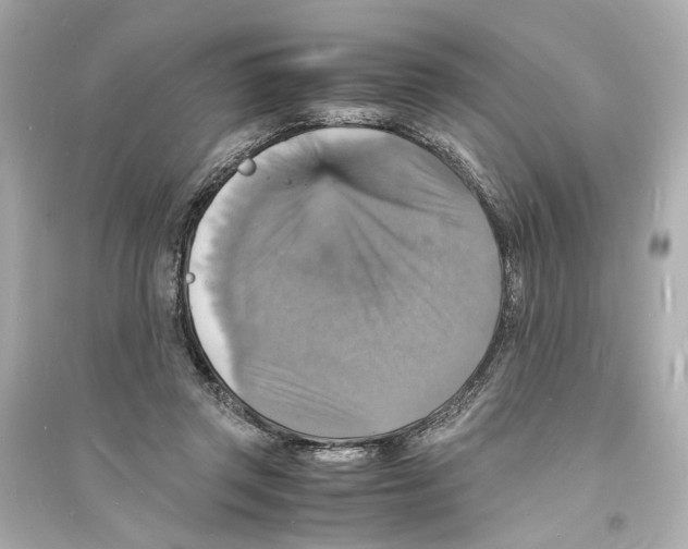 X0000093730357200711131043