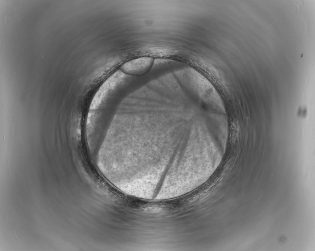 X0000093730358200711131043