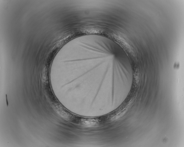 X0000093730359200711131043