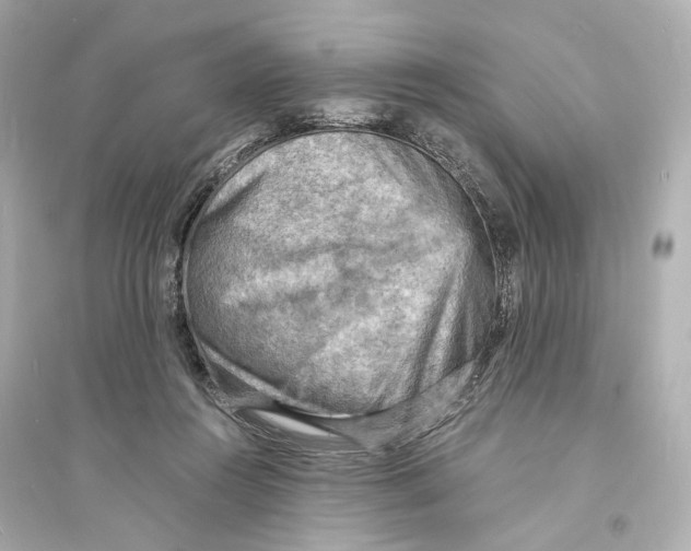 X0000093730360200711131043