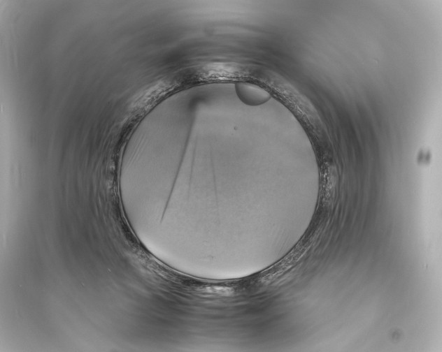 X0000093730361200711131043