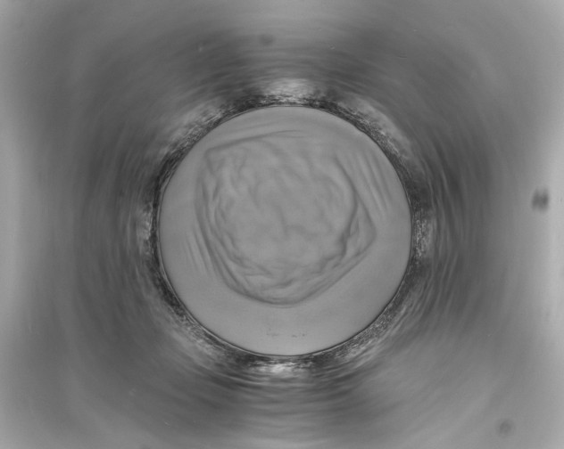 X0000093730365200711131043