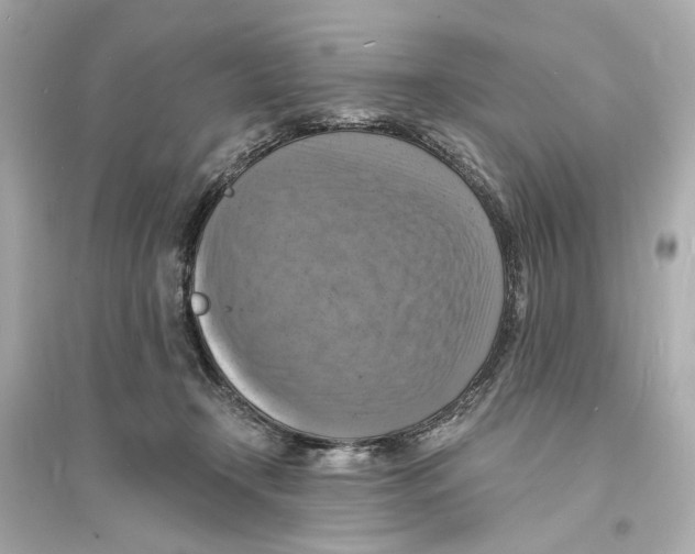 X0000093730366200711131043