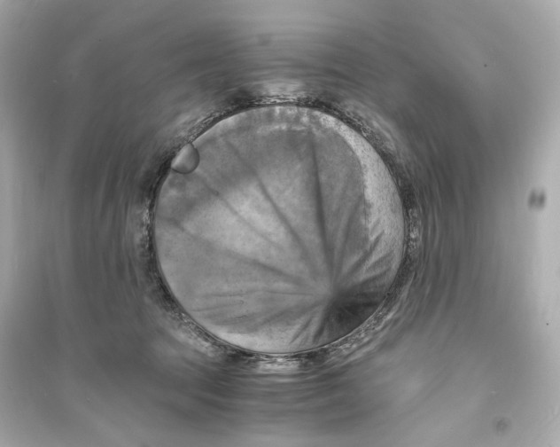 X0000093730369200711131044