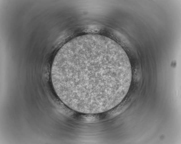 X0000093730370200711131044