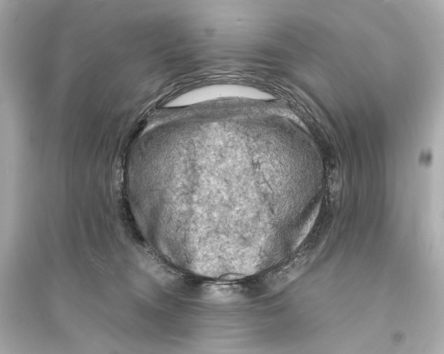 X0000093730372200711131044