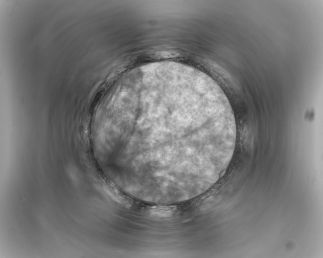 X0000093730373200711131044