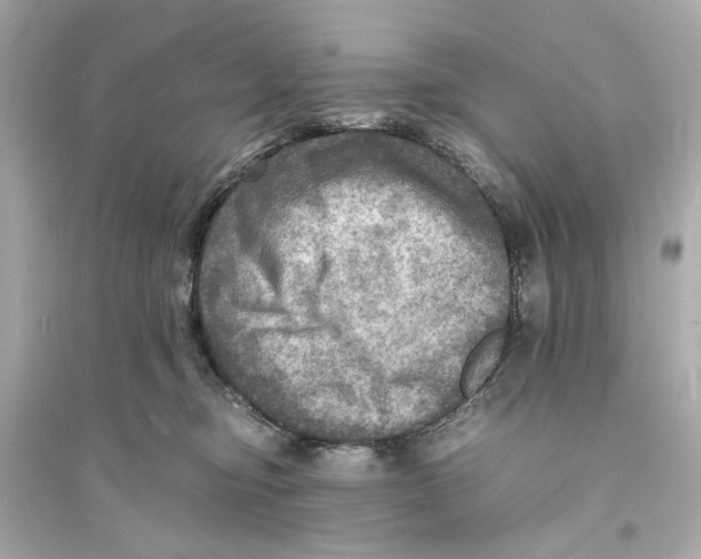 X0000093730374200711131044