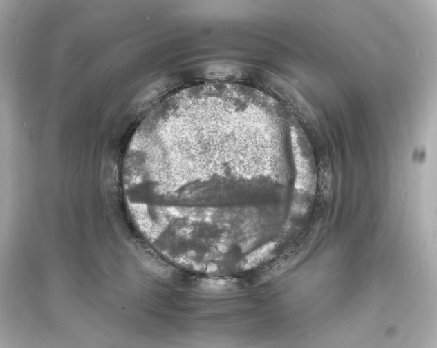 X0000093730375200711131044