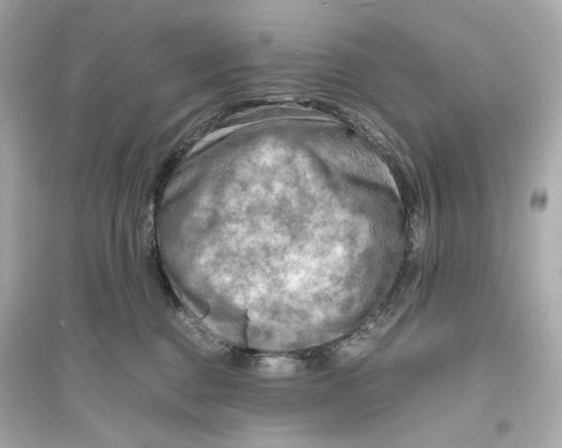 X0000093730376200711131044
