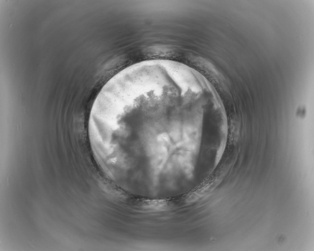 X0000093730377200711131044